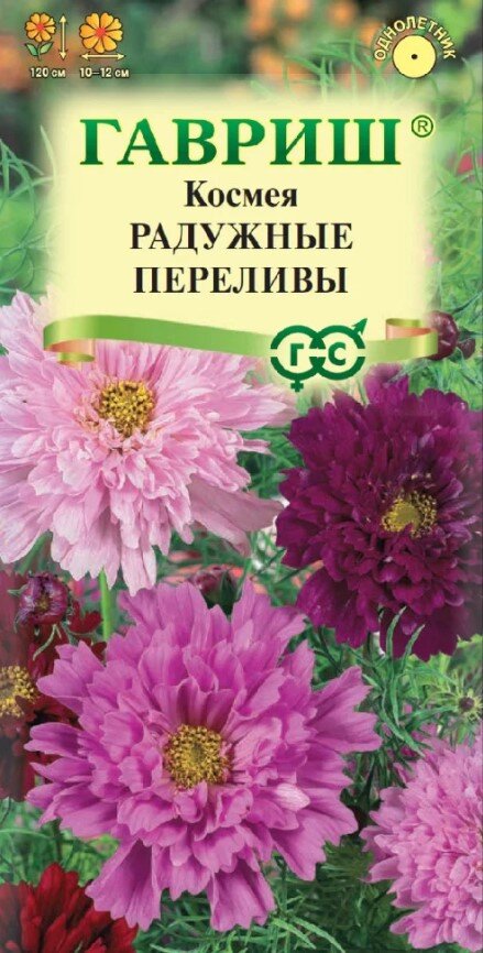 Сем. Космея Радужные переливы 0,1г цв/уп (Г) /10