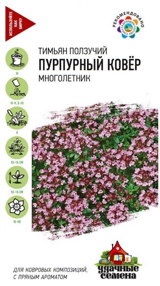 Сем. Тимьян Пурпурный ковер 0,01г цв/уп УС (Г) /10 Сем. Тимьян Пурпурный ковер 0,01г цв/уп УС (Г) /10