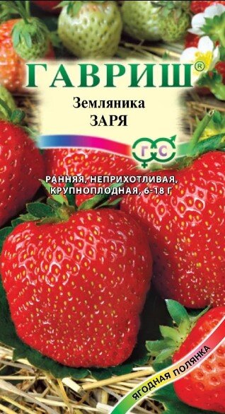 Сем. Земляника Заря 0,01г цв/уп ср/сп (Г) Сем. Земляника Заря 0,01г цв/уп ср/сп (Г)