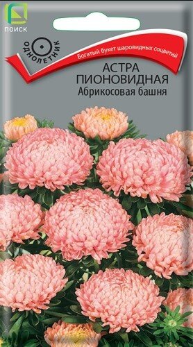 Сем. Астра пионовидная Абрикосовая башня 0,3г цв/уп (П)/10