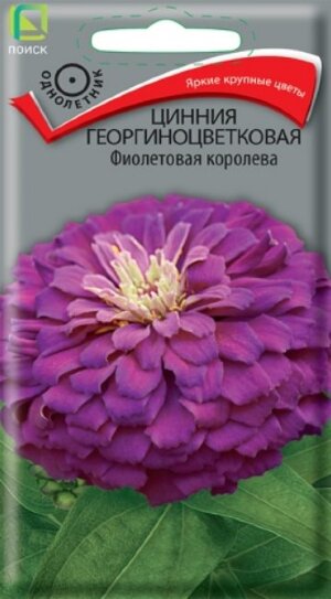 Сем. Цинния георгиноцв Фиол королева 0,4гр цв/уп(П