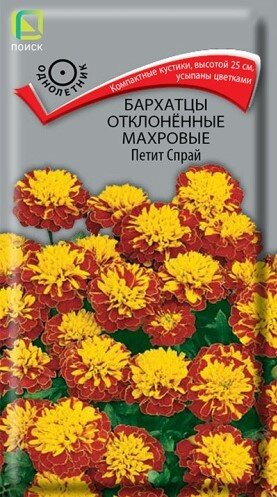 Сем. Бархатцы Петит спрай махров 0,4г цв/уп (П)/10