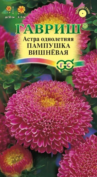 Сем. Астра Пампушка вишневая однолетняя 0,3г цв/уп (Г)/10