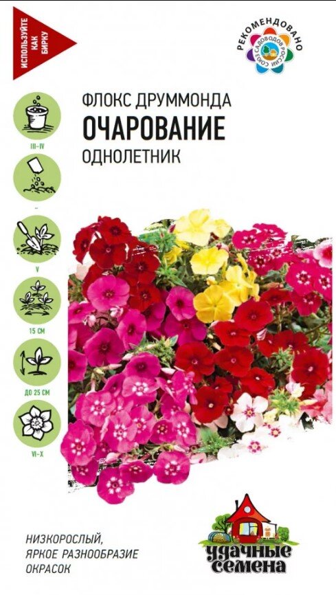 Сем. Флокс Друммонда Очарование 0,0г цв/уп УС (Г)/10
