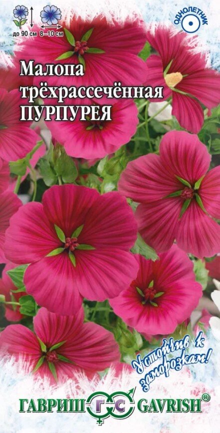 Сем. Малопа Пурпурея 0,1г цв/уп (Г) /10