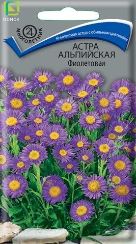 Сем. Астра Альпийская Фиолетовая 0,04г цв/уп