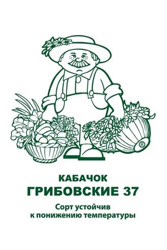 Сем. Кабачок Грибовский 37 2г бел/уп ср/сп (П) /10