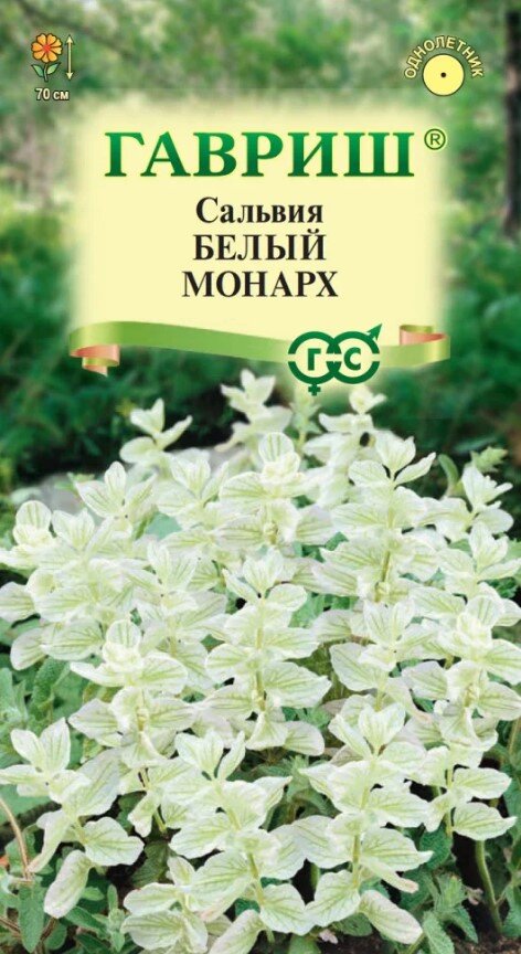 Сем. Сальвия Белый монарх горминовая 0,05г цв/уп (РС)10
