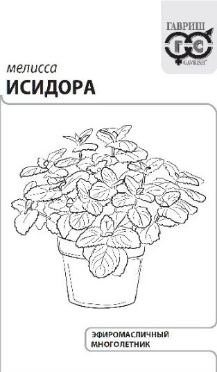 Сем. Мелисса Исидора лекар. 0,1г бел/уп (Г) /20