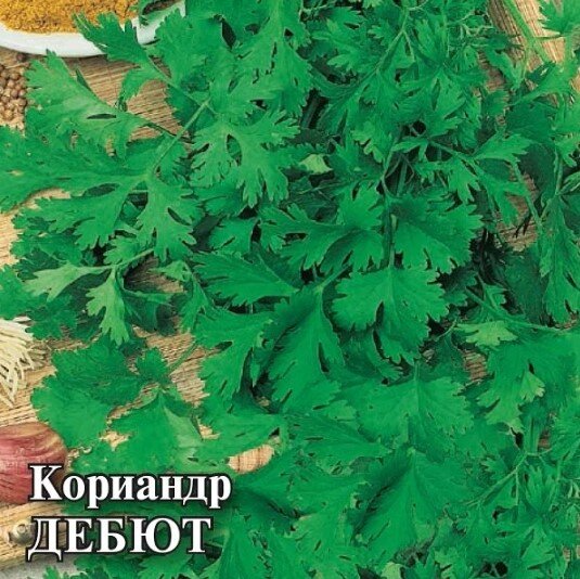 Сем. Кориандр Дебют 25г цв/уп  (Г) /10