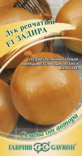 Сем.Лук Задира F1 репчат 1г цв.уп (Г) /10
